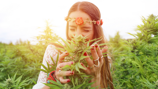 Cannabis Legalisierung in Deutschland: Aktuelle News und Entwicklungen bei Farmer World